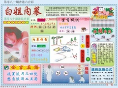 白小姐内幕A